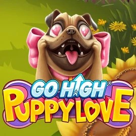 Go High Puppy Love slot icon by RubyPlay, available at Azurslot Casino